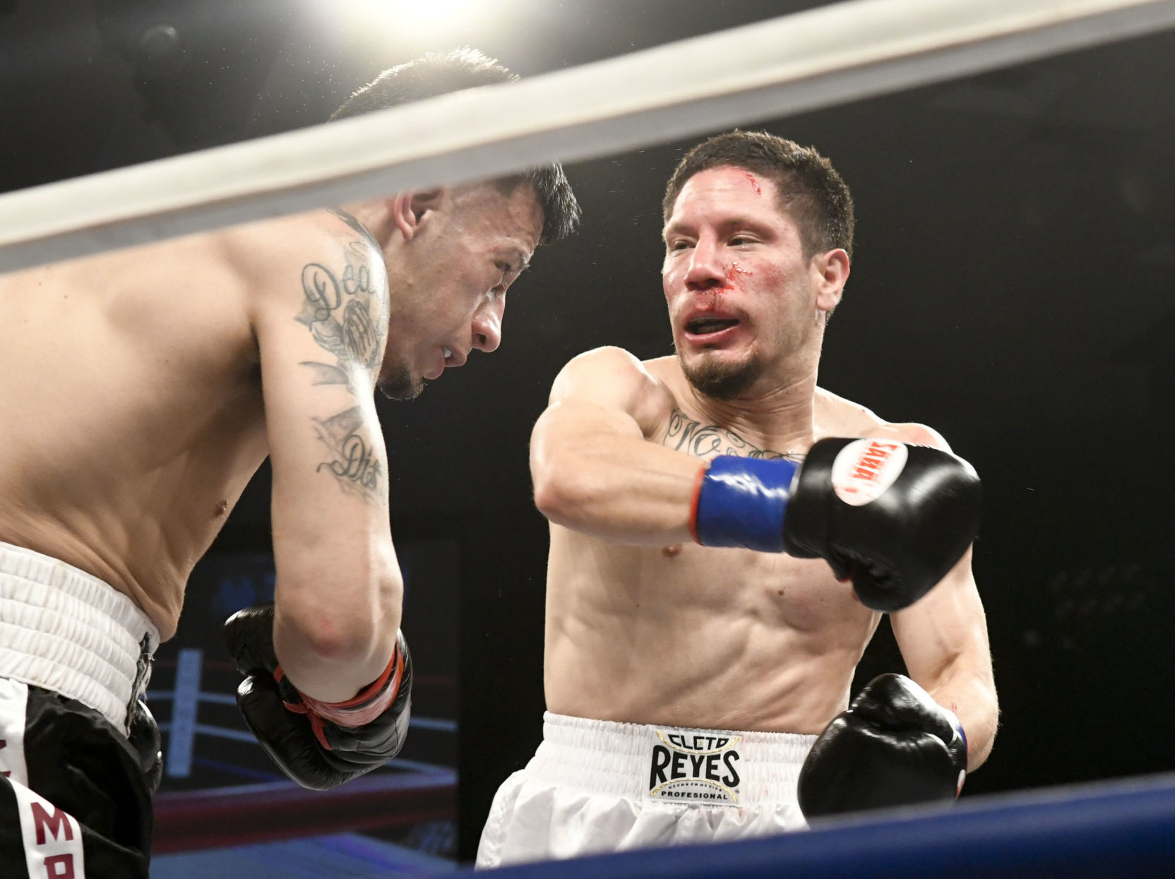 011020 WFC 120 boxing 23.jpg